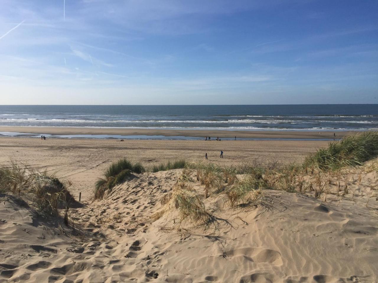 Duynsandt Zandvoort Εξωτερικό φωτογραφία